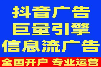 竞价广告的智能投放：XX平台的创新实践